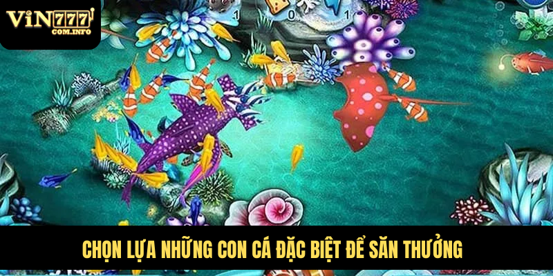 Cách Chơi Bắn Cá Tiểu Tiên Cá Và Chiến Lược Để Thắng Lớn 3 Chọn lựa những con cá đặc biệt để săn thưởng