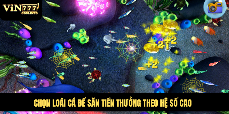 Hướng Dẫn Chơi Bắn Cá VIN777 Hiệu Quả Cho Người Mới Bắt Đầu 3 Chọn loài cá để săn tiền thưởng theo hệ số cao