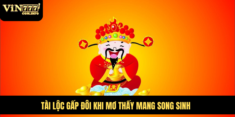 Mơ Thấy Mang Thai Là Điềm Báo Gì? Giải Mã Giấc Mơ Chi Tiết 3 Tài lộc gấp đôi khi mơ thấy mang song sinh
